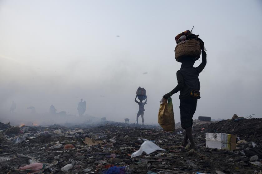 Young men work on a landfill in the east end of Freetown, Sierra Leone, Tuesday, April 30, 2024. Kush users mostly sort through rubbles at dumpsites to make money. Sierra Leone declared a war on the cheap synthetic drug, calling it an epidemic and a national threat. The drug is ravaging youth, and healthcare services are severely limited. (AP Photo/ Misper Apawu)