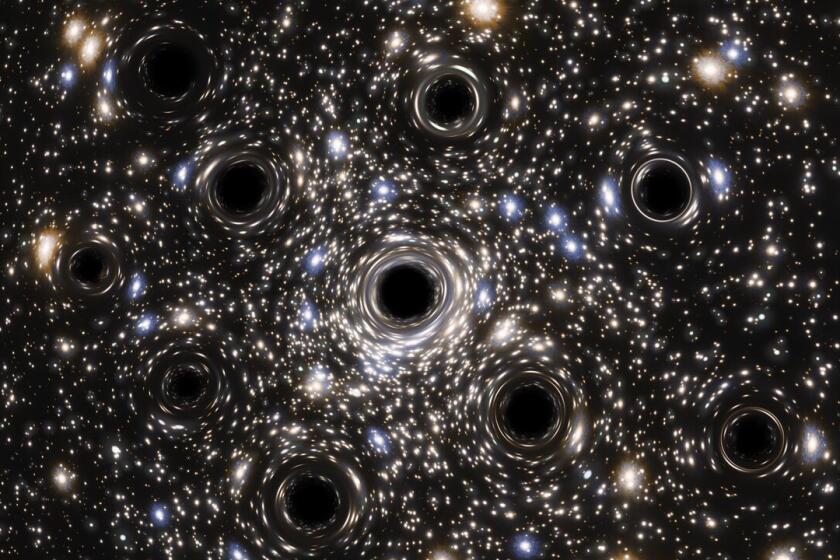 Scientists were expecting to find an intermediate-mass black hole at the heart of the globular cluster NGC 6397, but instead they found evidence of a concentration of smaller black holes lurking there. New data from the NASA/ESA Hubble Space Telescope have led to the first measurement of the extent of a collection of black holes in a core-collapsed globular cluster. This is an artist's impression created to visualize the concentration of black holes at the center of NGC 6397. In reality, the small black holes here are far too small for the direct observing capacities of any existing or planned future telescope, including Hubble. It is predicted that this core-collapsed globular cluster could be host to more than 20 black holes.