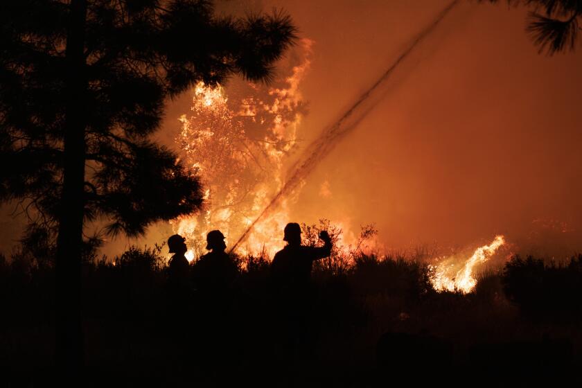 WRIGHTWOOD, CA - SEPTEMBER 10, 2024: Firefighters meet the flames head-on on hillside behind homes as the Bridge fire bears down on the mountain community of Wrightwood Tuesday night on September 10, 2024 in Wrightwood, California. (Gina Ferazzi / Los Angeles Times)