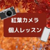 [終了]1時間で上達する紅葉カメラ教室 一眼もスマホもOKの個人レッスン