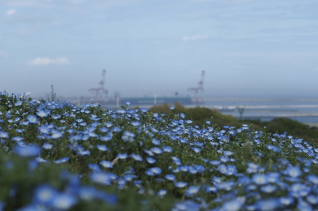 海も見えます