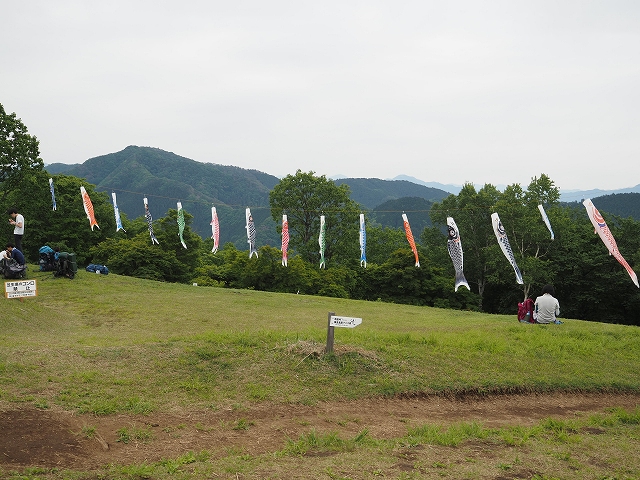 5月なので、陣馬山頂では何とか鯉のぼりを見ることができました。