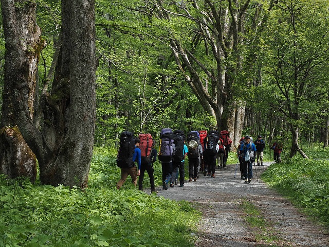 登山部の学生かな？