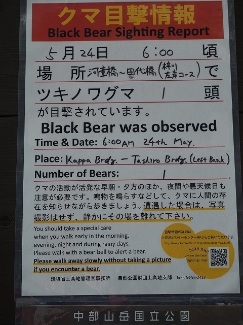 前日とは別のクマ情報