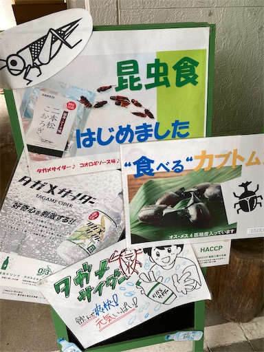 大山ケーブル駅にありました。食べるカブトムシって？