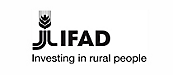 IFAD 徽标