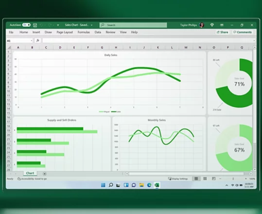 Microsoft Excel çalışma sayfası