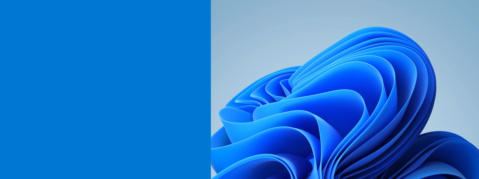 Illustration « fleur » de Windows 11