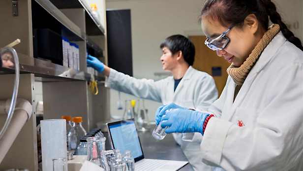 Dos personas en batas de laboratorio