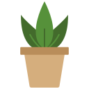 Plant Pot