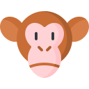 Chimp