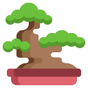 bonsai