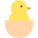 Chick