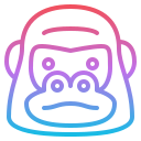 gorilla