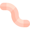 wurm