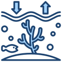 acidificazione degli oceani