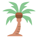 Palm