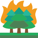 waldbrand