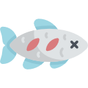 魚