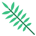 Tropical leaf