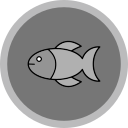 poisson