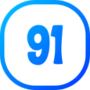 91