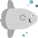 sunfish