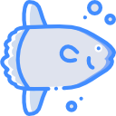 sunfish