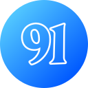 91