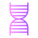 Dna