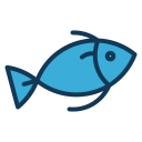 fisch