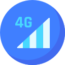 4g