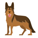 German shepherd