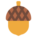 Acorn