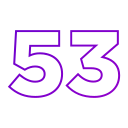 53