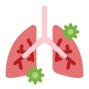 Lungs