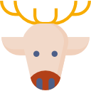 Reindeer