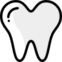 Teeth