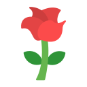 rosa