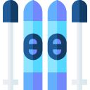 ski