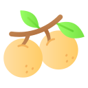 Longan