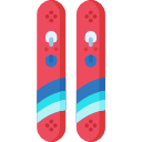 ski