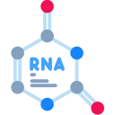 rna