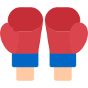 Boxing gloves