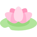 Water lily