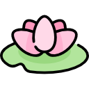 Water lily