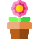 Flower pot