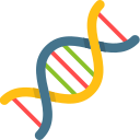 Dna