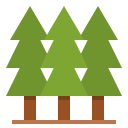 forêt