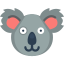 koala